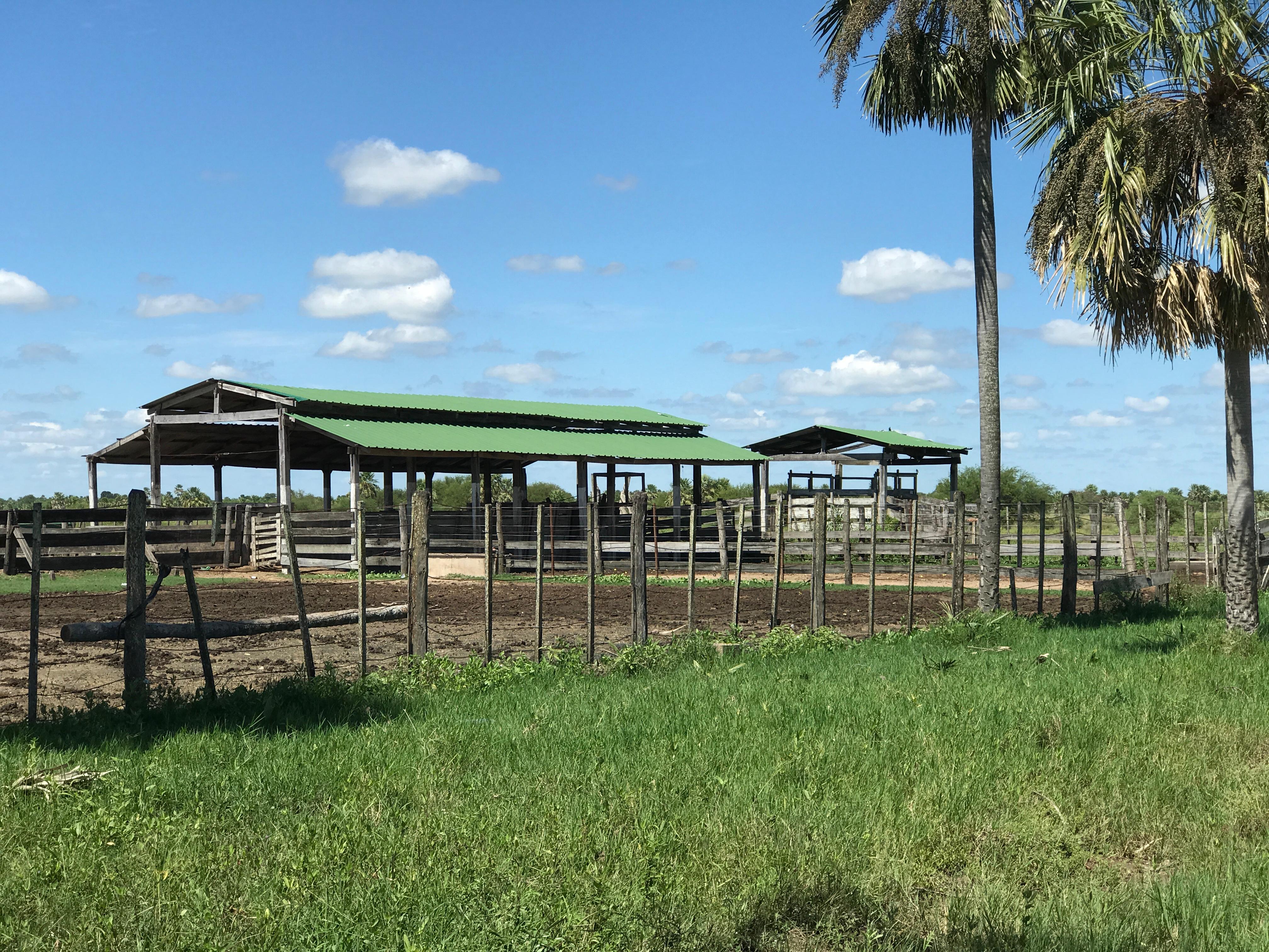 El Yarará - Imagen